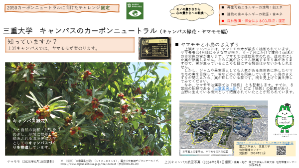 三重大学 キャンパスのカーボンニュートラル(キャンパス緑花・ヤマモモ編)