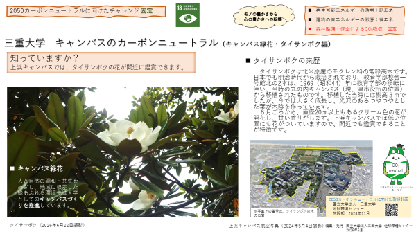 三重大学 キャンパスのカーボンニュートラル(キャンパス緑花・タイサンボク編)