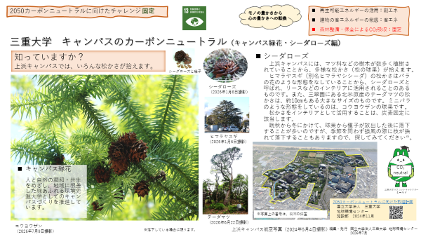 三重大学 キャンパスのカーボンニュートラル(キャンパス緑花・シーダローズ編)