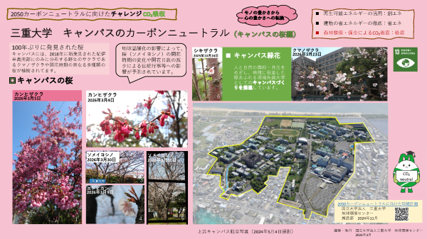 三重大学 キャンパスのカーボンニュートラル(キャンパスの桜編)