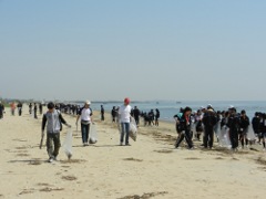 海岸清掃の写真