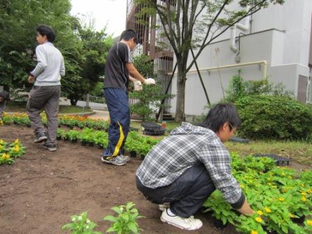 花壇の写真