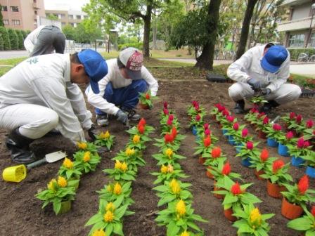 花壇の写真